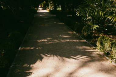 Tropik bir bahçe, park ve parktaki kumlu zemin kattaki palmiye yapraklarının zıt yöndeki gölgeleri. Yaz zamanı güneş ışığı ve gölge oyunu. 