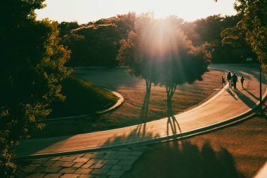 Dolambaçlı bir yolda yürüyen siluetler, parktaki bir yol. Gün batımında güneş, ağaçların yaprakları arasında parlıyor. Güneşli gün ışığı. 
