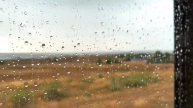 Yağmurlu bir günde ıslak bir pencerede su damlar. Sonbahar manzarası, camın arkasında kuru sarı çimenler olan bir çayır. Yağmur damlaları yağıyor. Sonbaharda yağmur. 