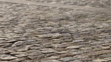 Güneş ışığı ağır çekim videosunda kaldırım taşı yolu. Eski şehir, kasabanın kaldırım yolu soyut görüntüleri. Mimari şablon. Antik taş toprak yolu