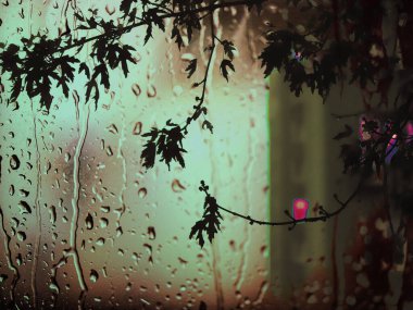 A tree branch with leaves on a rainy evening against a wet window with water droplets. Gloomy abstract natural background. Fall season evening. clipart