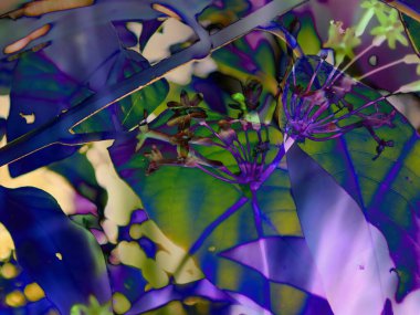 Farklı bitkiler, çiçekler, tropik bahçedeki yapraklar. Mor, mor, yeşil, soyut çiçek desenli sürrealist çiçek deseni