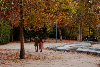 Madrid, İspanya. 1 Kasım 2023 Sonbahar parkında yaşlı ağaçların altında sonbahar yapraklarıyla yürüyen insanlar. Parkta sonbahar sezonu. Parlak yapraklı çınar ağaçları.