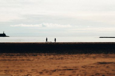 Soğuk güneşli bir günde bir tatil köyünde kumlu bir sahilde küçük köpeklerle yürüyen iki kişinin silueti. Sabahları evcil hayvanlarla yürüyüşe çıkmak.. 
