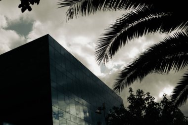 Modern high-rise building with glass facade and sky clouds reflection. Contrasting palm tree brunch. Modern business architecture in urban zone.  clipart