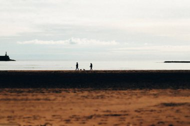 Soğuk güneşli bir günde bir tatil köyünde kumlu bir sahilde küçük köpeklerle yürüyen iki kişinin silueti. Sabahları evcil hayvanlarla yürüyüşe çıkmak.. 