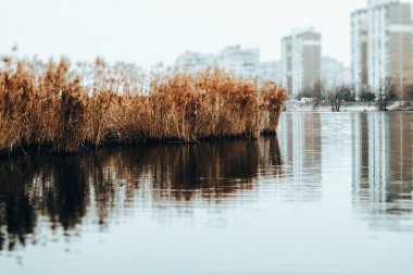 Şehir nehri, gölet. Çok katlı binaların su yüzeyine yansıdığı kentsel bir çevre. Soğuk mevsim. Yüksek binalar. Şehir manzarası.