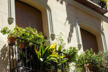 Madrid, İspanya 1 Mayıs 2022 yemyeşil bitkiler ve karmaşık demirlerle süslenmiş büyüleyici bir balkon. Mimari detaylar çarpıcı bir karşıtlık yaratır.