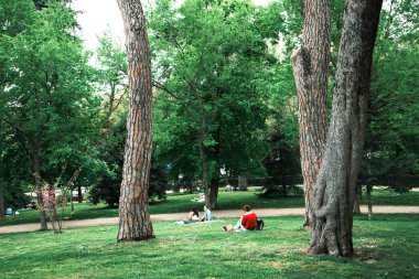 Madrid, İspanya 1 Haziran 2024 İnsanlar sakin bir atmosferde uzun ağaçlar ve güzel doğayla çevrili yemyeşil bir parkta dinleniyor ve günün tadını çıkarıyorlar..