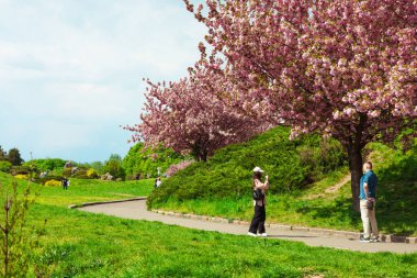 Kyiv, Ukrayna 24 Nisan 2025 Manzaralı bir park yolu çiçek açan kiraz ağaçlarının altında, insanlar dışarıda yürüyor. Yeşil manzara ve huzur manzarası.