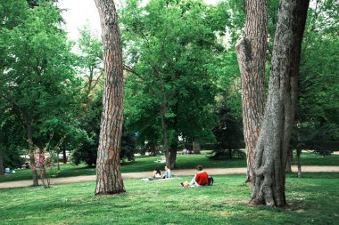 Madrid, İspanya 1 Haziran 2024 İnsanlar sakin bir atmosferde uzun ağaçlar ve güzel doğayla çevrili yemyeşil bir parkta dinleniyor ve günün tadını çıkarıyorlar..