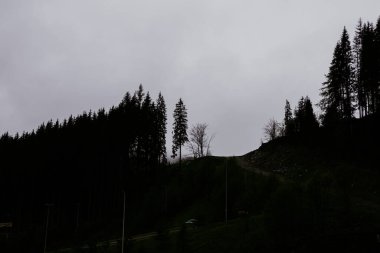 Gün boyunca bulutlu ve bulutlu bir gökyüzünün altında ağaçlardan ve dağ sırtlarından oluşan kasvetli bir manzara silueti. Doğa ve çevre temaları için mükemmel.