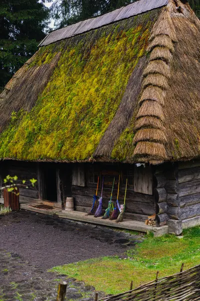 Bukovel, Ukrayna. 8 Mayıs 2025 Yeşil yosun ile geliştirilmiş sazdan çatılı bir ahşap kulübe, bir köy meyilli süpürgelerle açık havada sergileniyor.