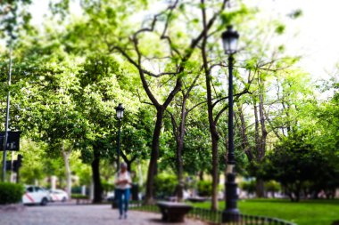 Huzurlu bir şehir parkı sahnesi ağaçlar ve antika sokak lambalarının sergilendiği huzurlu bir atmosfer yaratıyor. Huzur ve doğal güzellik Şehir parkı