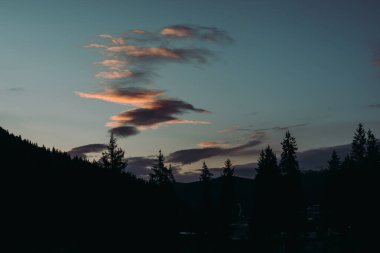 Nefes kesen bir günbatımı, bir orman siluetinin üzerine turuncu ve mavi renkler çizer. Renkli gökyüzünün altındaki görkemli ağaç siluetleri, sakin ve sakin bir manzara. Akşam renkleri.