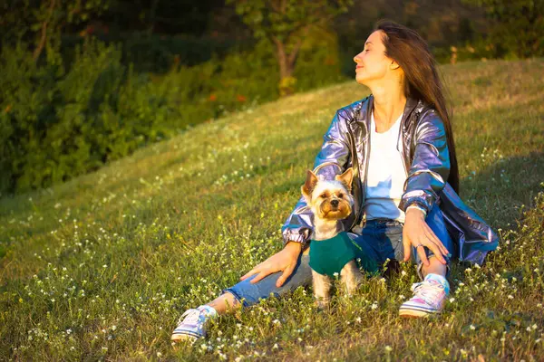 Bir kadın ve küçük köpeği güneşli bir günün tadını çıkarıyorlar, çimenli bir tepede birlikte dinleniyorlar. Çimenli bir tepede küçük köpeğiyle rahatlayan bir kadın. İkisi de açık havada güneşli bir günün tadını çıkarıyor..