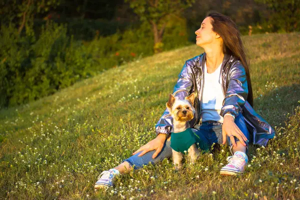 Bir kadın ve küçük köpeği güneşli bir günün tadını çıkarıyorlar, çimenli bir tepede birlikte dinleniyorlar. Çimenli bir tepede küçük köpeğiyle rahatlayan bir kadın. İkisi de açık havada güneşli bir günün tadını çıkarıyor..
