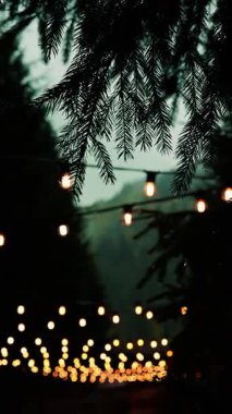 Telli ışıklar ve köknar dalları akşamları sakin bir açık hava sahnesi yaratıyor. Parktaki sıcak tatil atmosferi. Çam ağaçları ve çelenk ışığı.