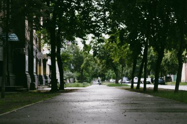 Islak bir kaldırım, yaz günü yemyeşil ağaçların gölgelediği mesafeye kadar uzanıyor. Yağmurlu bir günde, ağaçlarla kaplı, manzaralı bir sokak manzarası.. 