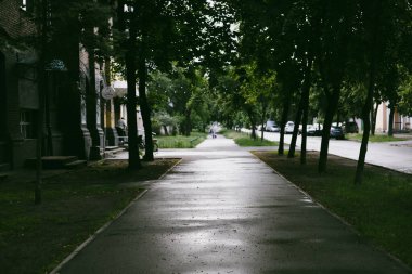 Islak bir kaldırım, yaz günü yemyeşil ağaçların gölgelediği mesafeye kadar uzanıyor. Yağmurlu bir günde, ağaçlarla kaplı, manzaralı bir sokak manzarası.. 
