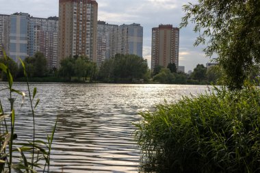 Kyiv, Ukrayna 7 Haziran 2025 güneşli bir öğleden sonra şehri ve gökyüzünü yansıtan sakin bir göl, ön planda yeşil sazlıklar. Bulutlu bir gökyüzünün altında binaları ve yeşillikleri olan manzaralı bir gölet..