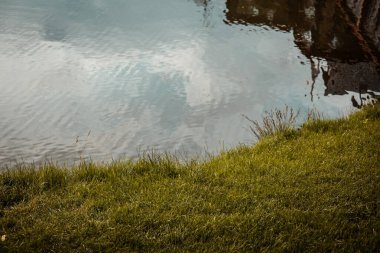 Görüntü, kenarında canlı yeşil çimenler olan yansıtıcı bir su sahnesi sergiliyor. Sahil boyunca yemyeşil çimenler ve su yüzeyindeki yansımaları barındıran sakin bir su manzarası..