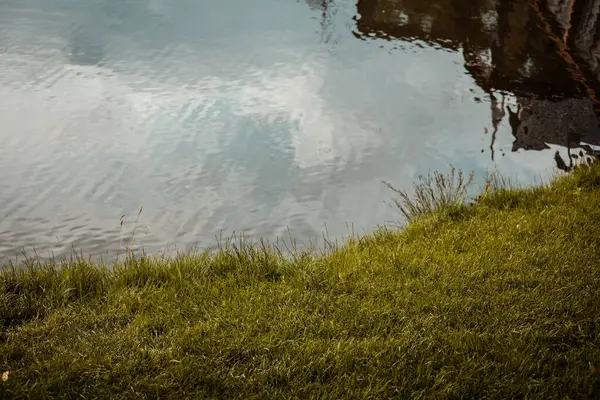 Görüntü, kenarında canlı yeşil çimenler olan yansıtıcı bir su sahnesi sergiliyor. Sahil boyunca yemyeşil çimenler ve su yüzeyindeki yansımaları barındıran sakin bir su manzarası..