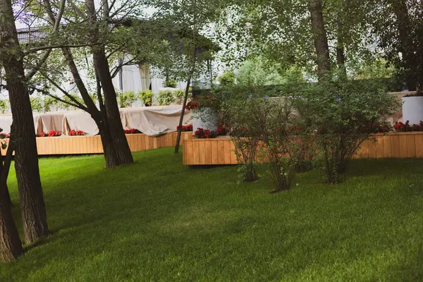 Açık bir bahçe, yemyeşil çimenler, ağaçlar, ahşap platformlar, sakin bir ortam. Açık hava sahnesi, yemyeşil çimenler, ağaçlar ve çiçek açan çiçekler huzurlu bir ortam yaratıyor..