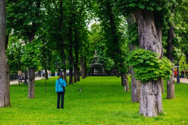 Kyiv, Ukrayna 1 Mayıs 2025 güneşli bir günde yeşil bir parkta fıskiyeli ve yemyeşil ağaçlı huzurlu bir manzara. Bir insan ağaçların altında duruyor, rahatlama ve doğa için mükemmel. Köpek gezdirici.