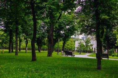 Yeşillik ve davetkar banklarıyla bu parkın güzelliğinin tadını çıkar. Bereketli yeşil çimenler, ağaçlar, banklar ve bir patika içeren sakin bir park sahnesi, rahatlama ve doğa takdiri için ideal..