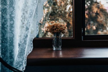 Kurumuş çiçekler dantel perdeli bir pencerenin kenarında oturur, rahat ve huzurlu bir atmosfer yaratır. Büyüleyici bir iç mekan, sarı mimoza çiçekleri vazosu ve dışarıdaki ağaçların manzarasını gösteriyor..