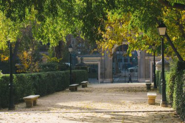 Madrid, İspanya 1 Ekim 2024 sonbahar parkı sahnesinde banklar, patikalar ve güzel yapraklar yer alıyor. Park manzarası, banklar, lambalar ve yeşillikler, sonbahar gününün sıcak güneşinde yıkanmış..