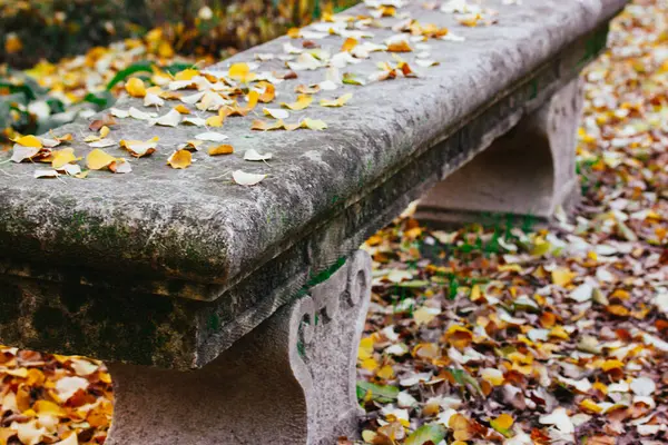 Parkta renkli sonbahar yapraklarıyla kaplı antik taş bir bank. Düşen sonbahar yapraklarıyla kaplı eski bir taş bank, sakin ve mevsimsel bir açık hava manzarası yaratıyor. Sonbahar resmi bahçesi.
