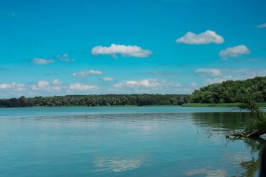 Mavi gökyüzünü ve yemyeşil ağaçlarla çevrili tüylü bulutları yansıtan sakin bir göl. Bereketli yeşil ağaçlarla çevrili dingin bir göl Parlak mavi bir gökyüzünün altında Tüylü beyaz bulutlarla kaplı güneşli bir günde