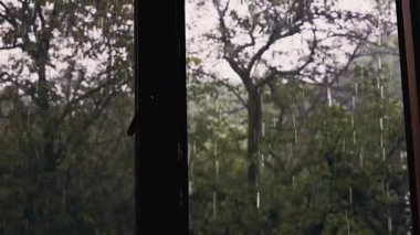 Pencereden yağmurlu bir günün büyüleyici manzarası, yağmur damlaları yağıyor. Yağmur damlaları, yağmurla ıslanmış ağaçların ve açık havanın huzurlu manzarasını sunan bir pencerenin önünden taşar. Düşen yağmurun yavaş çekimi