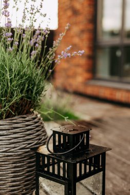 Lavanta bitkisinin yanında siyah bir fener. Bahçe manzarası için mükemmel. Cam camlı siyah bir fener, ahşap bir yüzeyde, bir saksı lavanta bitkisinin yanına yerleştirilir. Terasta çiçek açan bitkiler.
