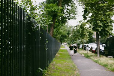 Güneşli bir yaz gününde iki insan köpekleriyle keyifli bir yürüyüşe çıkar. İki kişi, güneşli bir günde, park halindeki arabaların olduğu bir yolun kenarında, ağaçlık kaldırımda bir köpeği gezdirir..