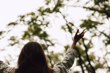 Orman manzarasında doğayı kucaklayan kadın kollarını kaldırmış. Barışın, uyumun ve özgürlüğün tadını çıkaran bir kız. Ağaçlardan bir gölgeliğin altında uzanan, yumuşak, doğal ışıkla yıkanan bir insan.. 