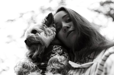 Açık havada köpeğe sarılan bir kadının siyah beyaz fotoğrafı. Bir kız sevgiyle Yorkie kuçu kuçu köpeğini paylaşır. Bir insan ve köpek. Küçük köpeğini kucaklayan bir kızın duygusal portresi.. 