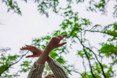 Kollar çapraz, eller açık ağaçların arasından gökyüzüne uzanıyor. Bir insanın nazikçe çapraz kolları yeşil ağaçlar ve yukarıdaki gökyüzü tarafından çerçevelenir. Yukarı doğru uzanan, temiz hava alan bir kadın.