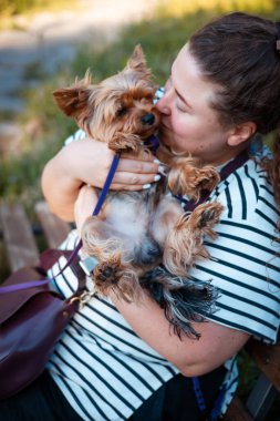 Bir kadın Yorkshire Terrier 'ini kucaklıyor. Sevgi, şefkat, evcil bir hayvanın şefkatli bir anı. Sevgi dolu bir kız bir Yorkie köpeğini kucaklıyor. Yavru köpek kucaklaşmanın keyfini çıkarır.
