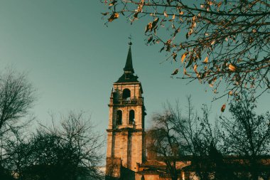 Güneşli bir günde, sonbahar yapraklarıyla eski bir kilisenin güzel kulesi dimdik ayakta duruyor. Tarihi bir kilise kulesi, ağaç dalları ve sonbahar yapraklarıyla süslenmiş pastel mavisi gökyüzüne karşı yükseliyor..