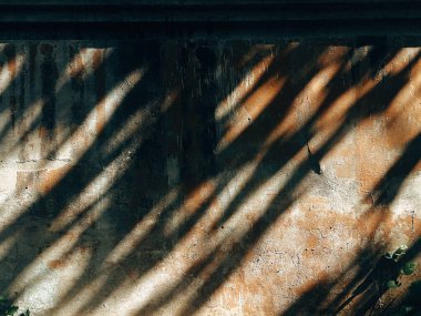 Soyut desenli duvar, güneşten gelen gölgelerle görsel bir zıtlık yaratıyor. Dokulu duvar, güneşten sırılsıklam olmuş, bir ışık ve gölge oyunu yaratıyor, mimari detayları vurguluyor..