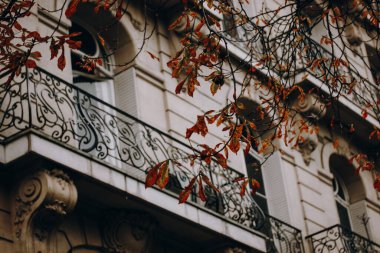 Autumnal facade with tree branches and red leaves. Historical building facade is framed by bare tree branches with brown leaves creating moody, atmospheric scene. The windows have decorative ironwork.