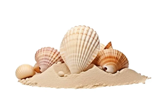 透明な背景に隔離された砂の上のボウルの貝 ロイヤリティフリーのストック写真