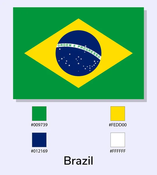 Vector Illustratie Van Brazilië Vlag Geïsoleerd Lichtblauwe Achtergrond Illustratie Nationale — Stockvector