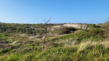 ZELADE, NETHERLANDS - 30 Nisan 2023