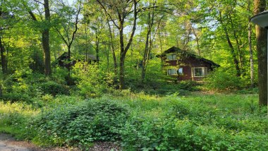 BİRLİK, NETHERLANDS - 12 MAYIS 2023