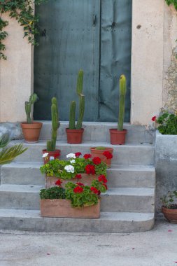 Mediterranean motif, stone staircase with flower pots and cacti clipart