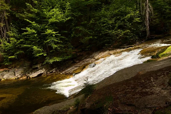 瀑布落在森林的溪流上 图库图片